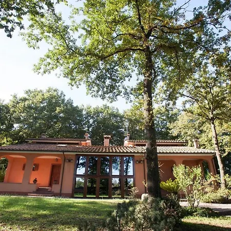 La Selvotta