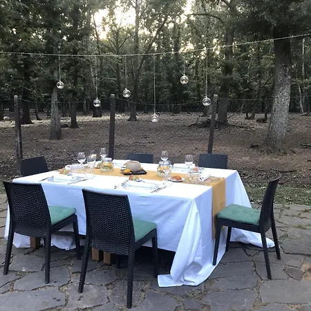 La Selvotta Affittacamere Formello